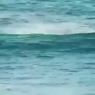 He definitely did that on porpoise