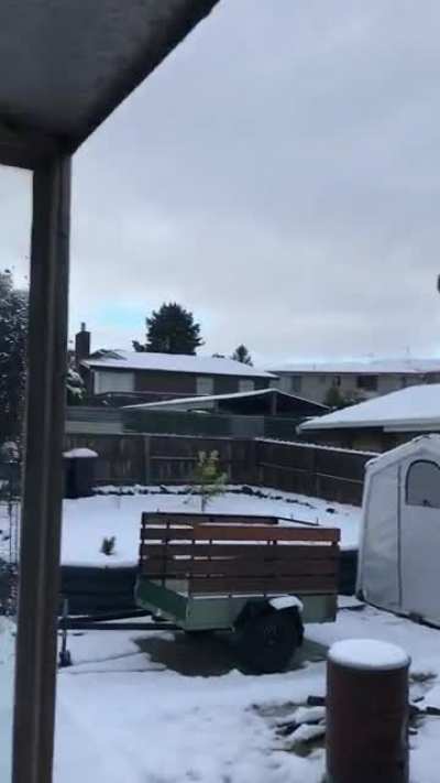 Snow down here in Tasmania today. According to Nan this is the first time she’s seen snow at this level in her 60+ years in Launceston.