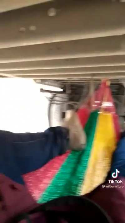 I know he's an idiot underneath a vehicle but does it still count?