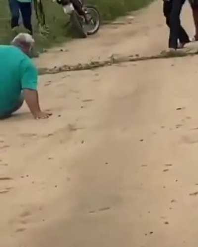 The fat and furious
