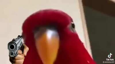 🐦