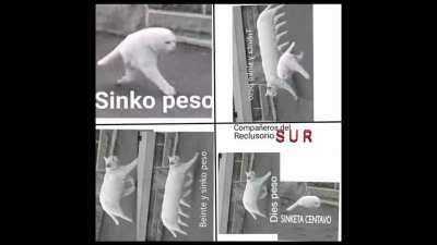 peso