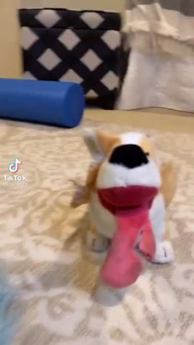 No toy stands a chance