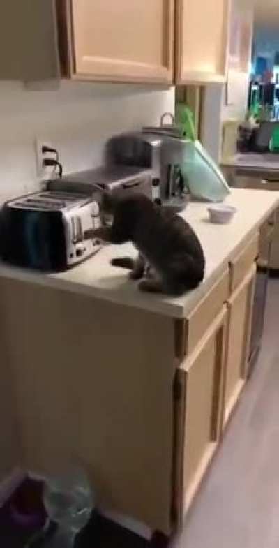 Toast is ready