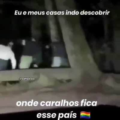 🏳️‍🌈