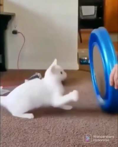 Slow down...!