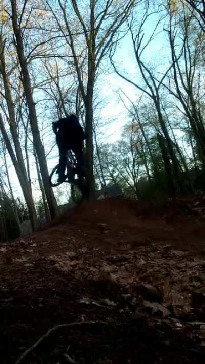 Big whip