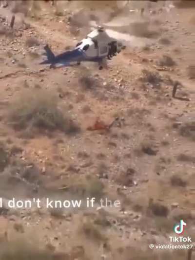Life in Spin mode!