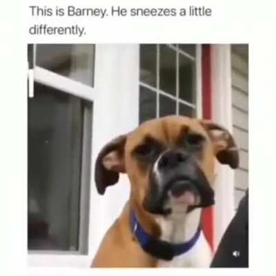 Barney seems a little odd