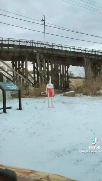 Operation Goose Woman