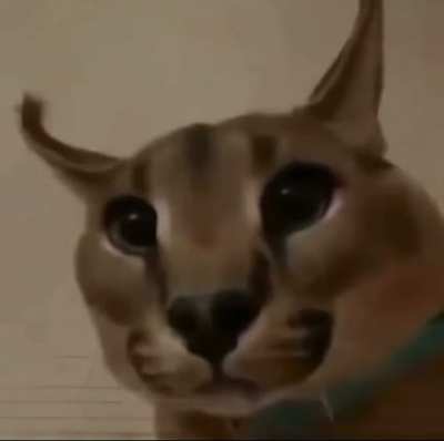 Me when the
