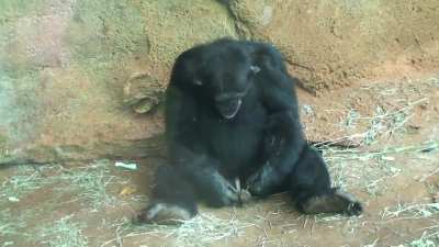 The most cursed thing I have ever seen.