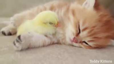 zzzzzzzzzzzzzzzzzzz