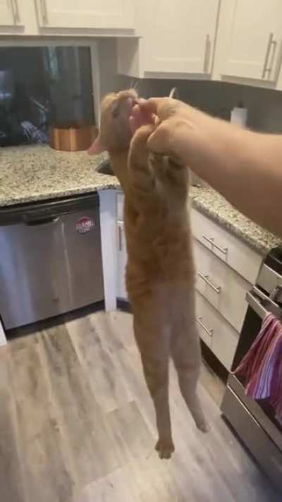 goblin