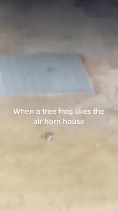 Haha froggy go brrrrrrr