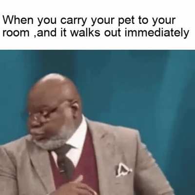 As I was saying...COME HERE YOU
