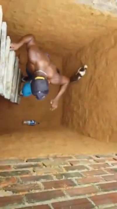 Trying to help a cat