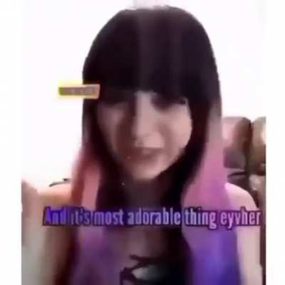 Worst thing ive seen this year