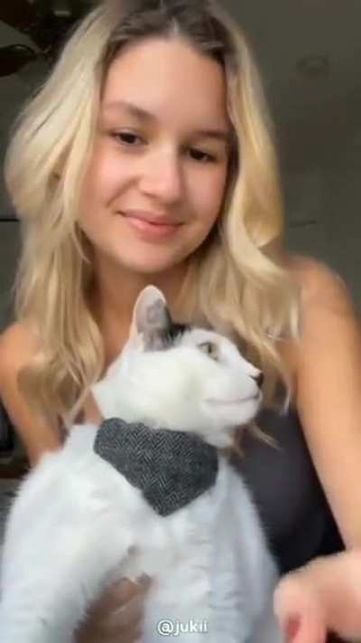 hail catler