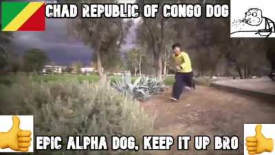 retard democratic republic of congo dog🤮🤮🤮🤮 vs chad republic of congo dog 😎 😎 😎 😎 😎 😎 😎
