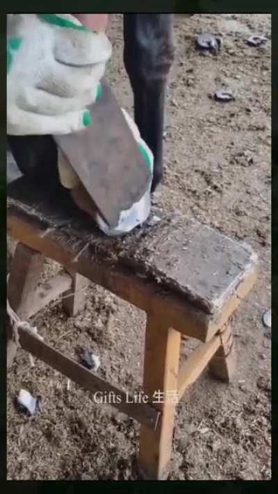 Первый педикюр в жизни