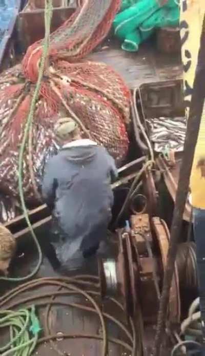 Russian fishing crew get a surprise catch