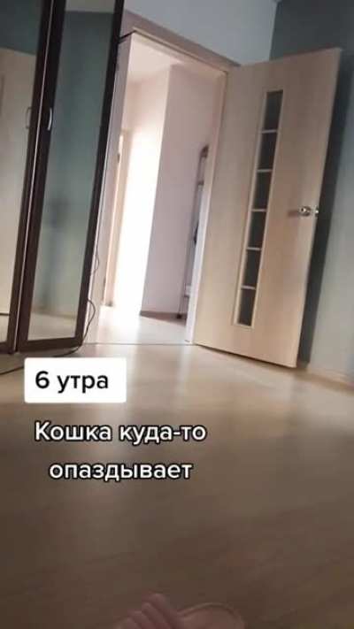Опаздывает