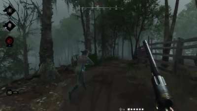 Out for a lovely stroll in the Bayou