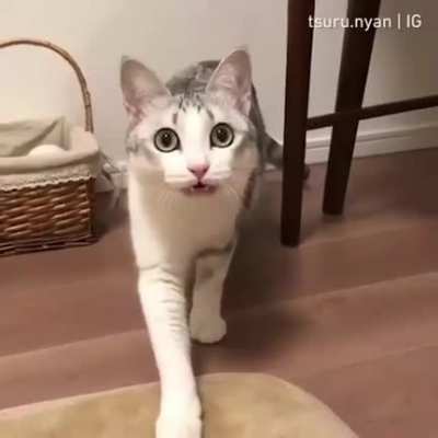Something probably got mauled right after this video