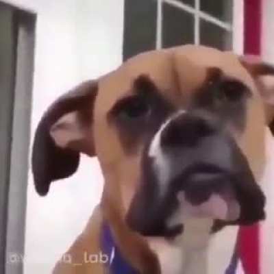 hot