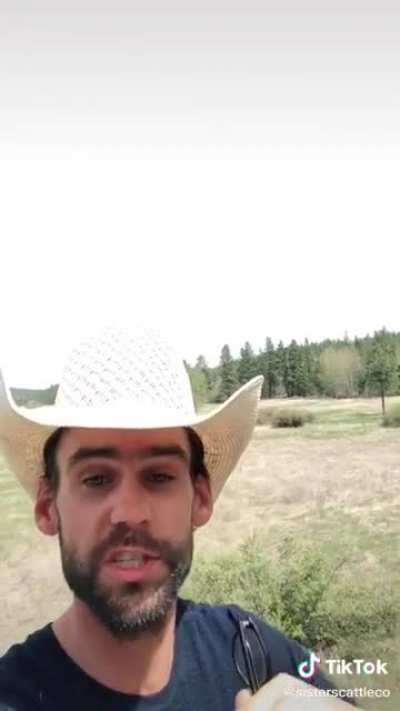 Vegans don't understand Cows improve the environment when they eat grass.