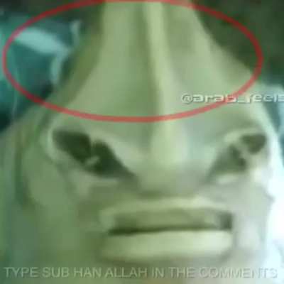 hh