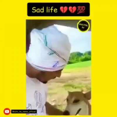 Sed Lyfe 💔😔