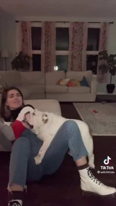 Arguing with a dog