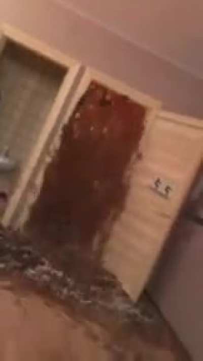 Coke + mentos + toilet