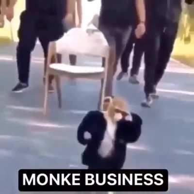 MONKE BUSINESS