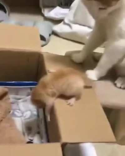 This mother teaching her child some lessons