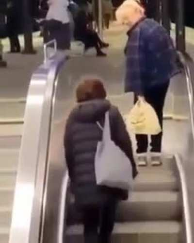 Cat Strutting 