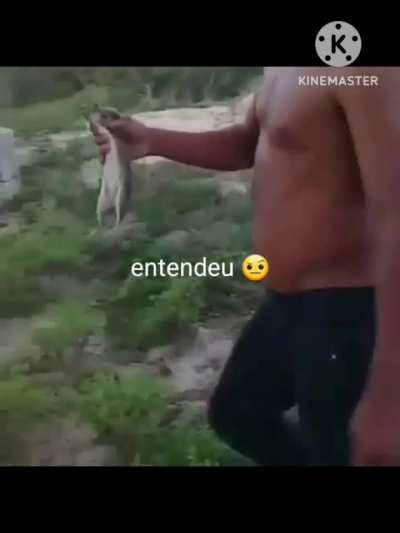 F para preo 