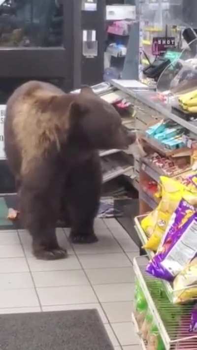 was as gentle as possible 🐻