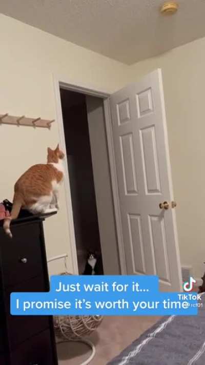 (Not OC) Some serious thought went into this jump