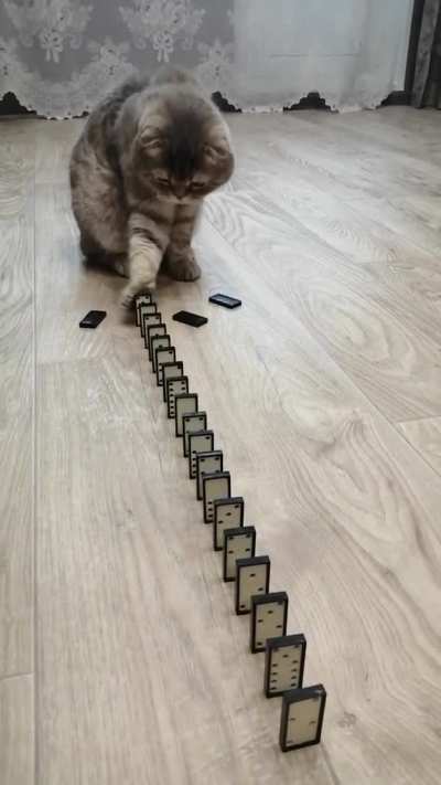 Wha ? how that happen ?