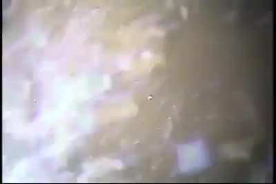 Scary Encounter During a Commercial Dive
