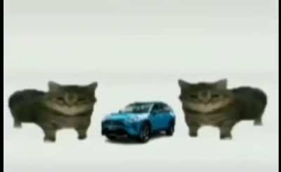 Toyota 🚗