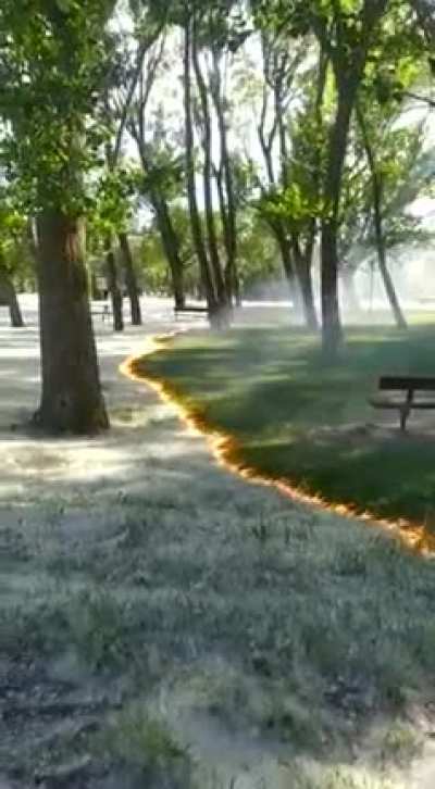 The way this polen burns