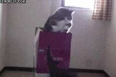 Blursed jump