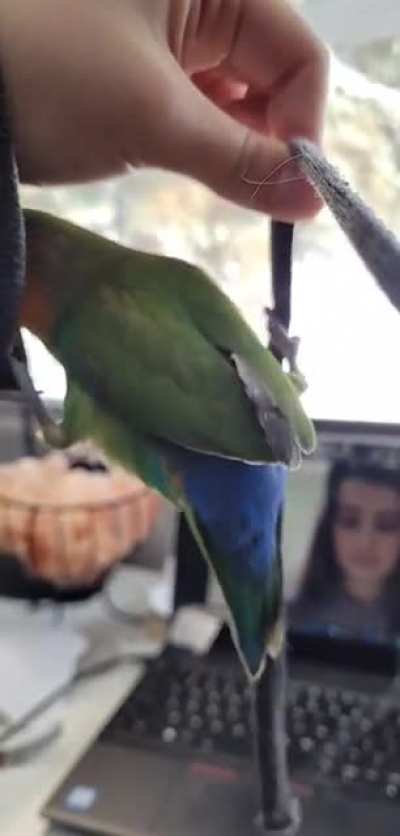 Maybe Maybe Maybe