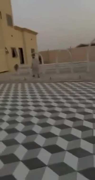 Some Arab blokes messing around with their friend