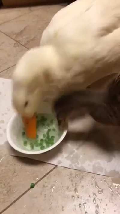 Скоростной Ням