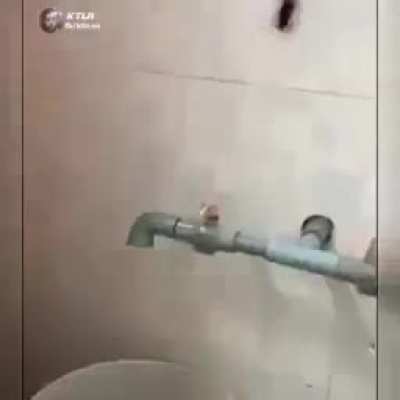Vídeo de horror